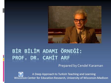 Prepared by Cendel Karaman A Deep Approach to Turkish Teaching and Learning Wisconsin Center for Education Research, University of Wisconsin-Madison.